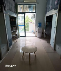 加拿大28预测