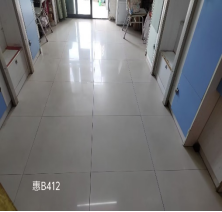 加拿大28预测